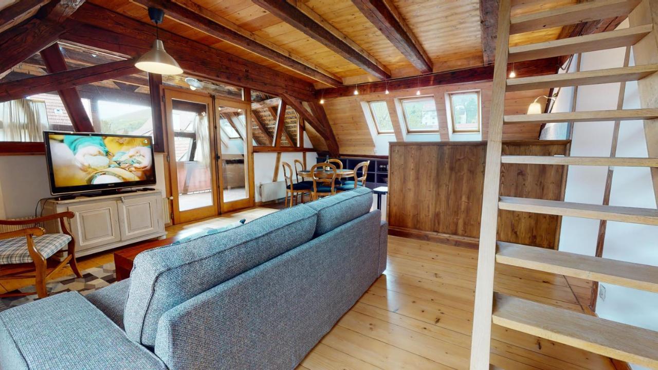 Les Appartements Manala - Turckheim Bagian luar foto