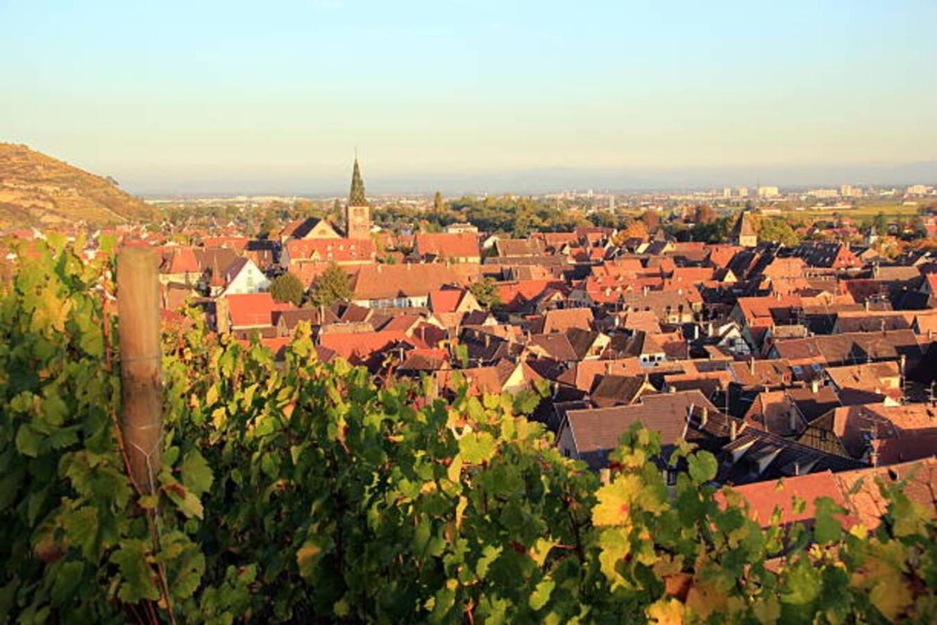 Les Appartements Manala - Turckheim Bagian luar foto